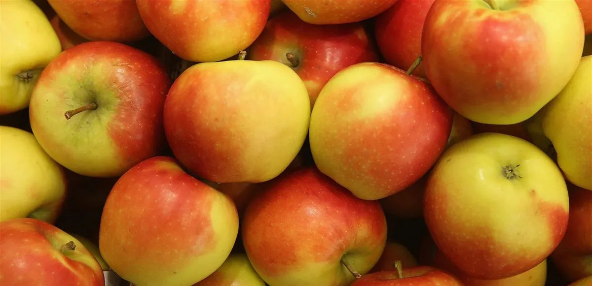 اكتشف لماذا يجب أن يكون التفاح جزءًا من نظامك الغذائي اليومي: فوائد صحية لا تحصى