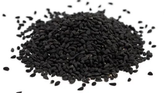 دراسة يابانية تكشف: الحبة السوداء سلاح طبيعي لمكافحة السمنة وتعزيز صحة القلب