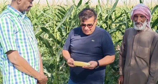 دير الزور: دراسة ميدانية لتقييم الزراعة والثروة الحيوانية بالتعاون مع الفاو