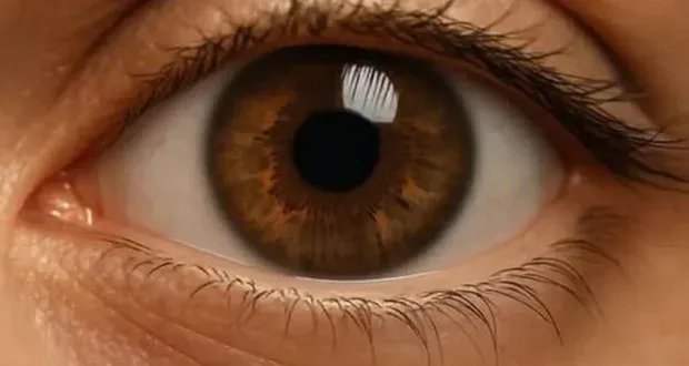 إنجاز طبي تاريخي: استعادة بصر كفيف بزراعة قرنية بتقنية الطباعة ثلاثية الأبعاد