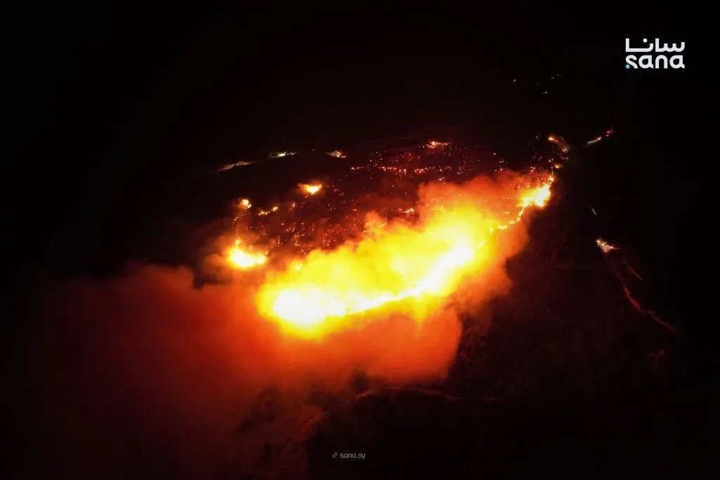 اللاذقية: فرق الإطفاء تكافح حريقاً في أحراش باشورة