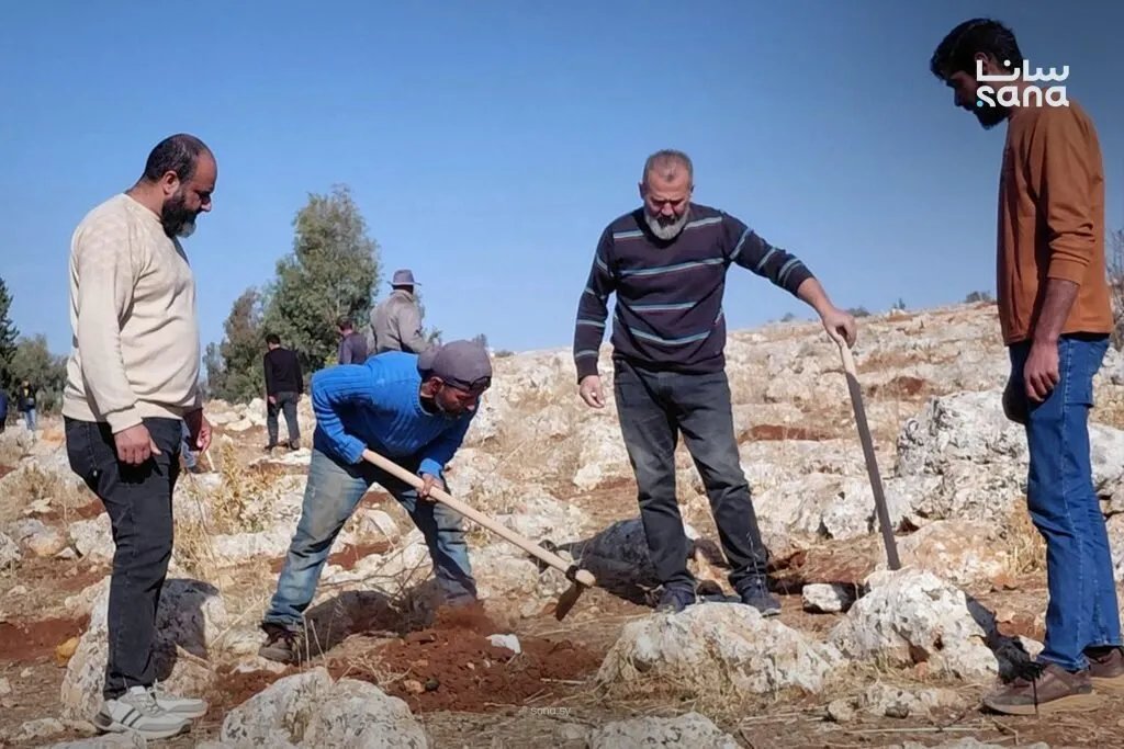 وزارة الزراعة تطلق حملة تشجير واسعة في إدلب تحت شعار "معاً لنعيد إدلب خضراء"