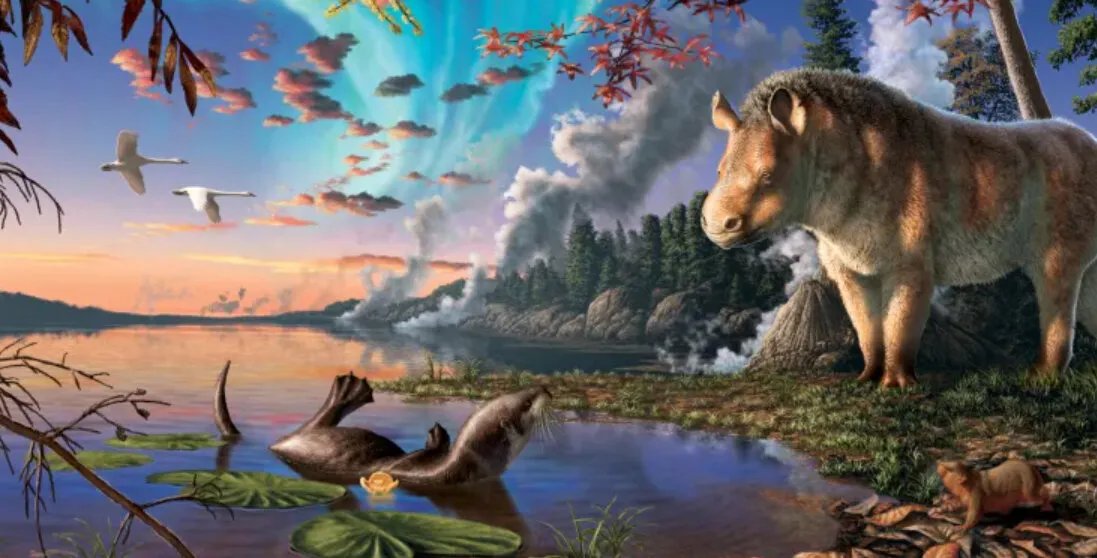 اكتشاف مذهل في كندا: نوع جديد من وحيد القرن المنقرض يعود إلى 23 مليون سنة