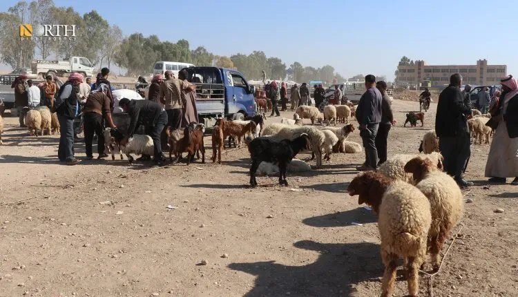 اشتباكات عشائرية دامية في سوق المواشي بالحسكة تسفر عن إصابات