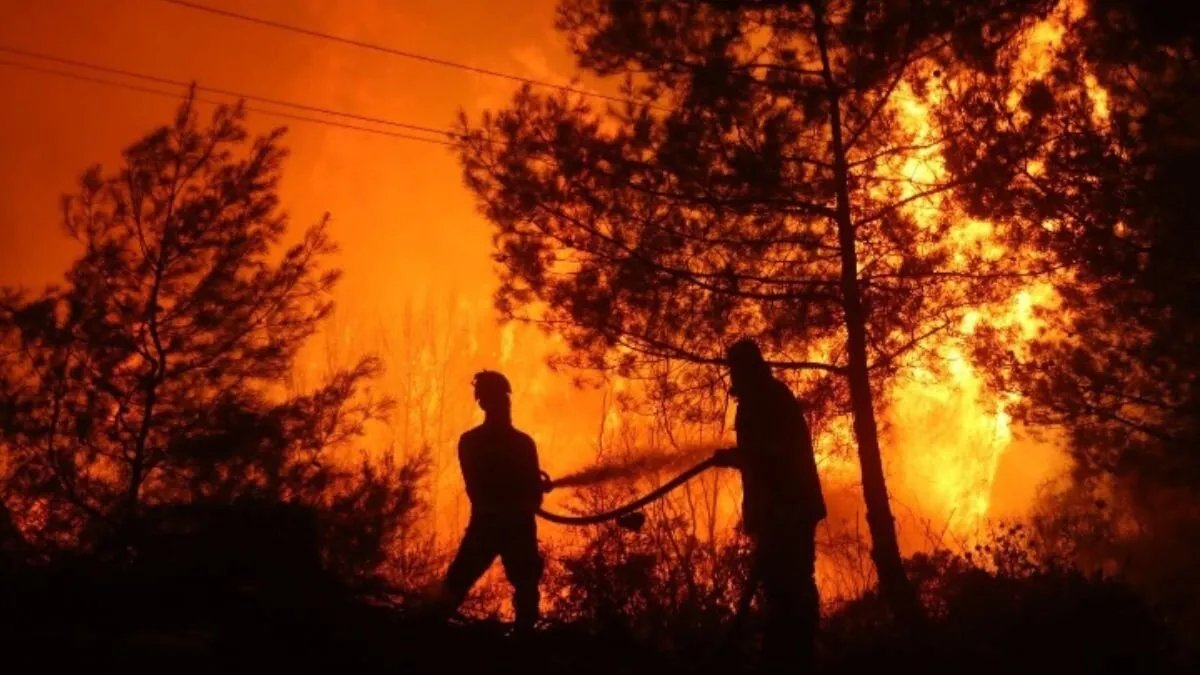 أمطار الخير تطفئ حرائق غابات رأس البسيط في اللاذقية والدفاع المدني يحذر من تقلبات جوية