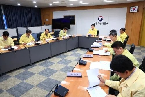 كوريا الجنوبية ترفع حالة التأهب إلى الدرجة القصوى لمواجهة حمى الخنازير الأفريقية بعد ظهور إصابة جديدة