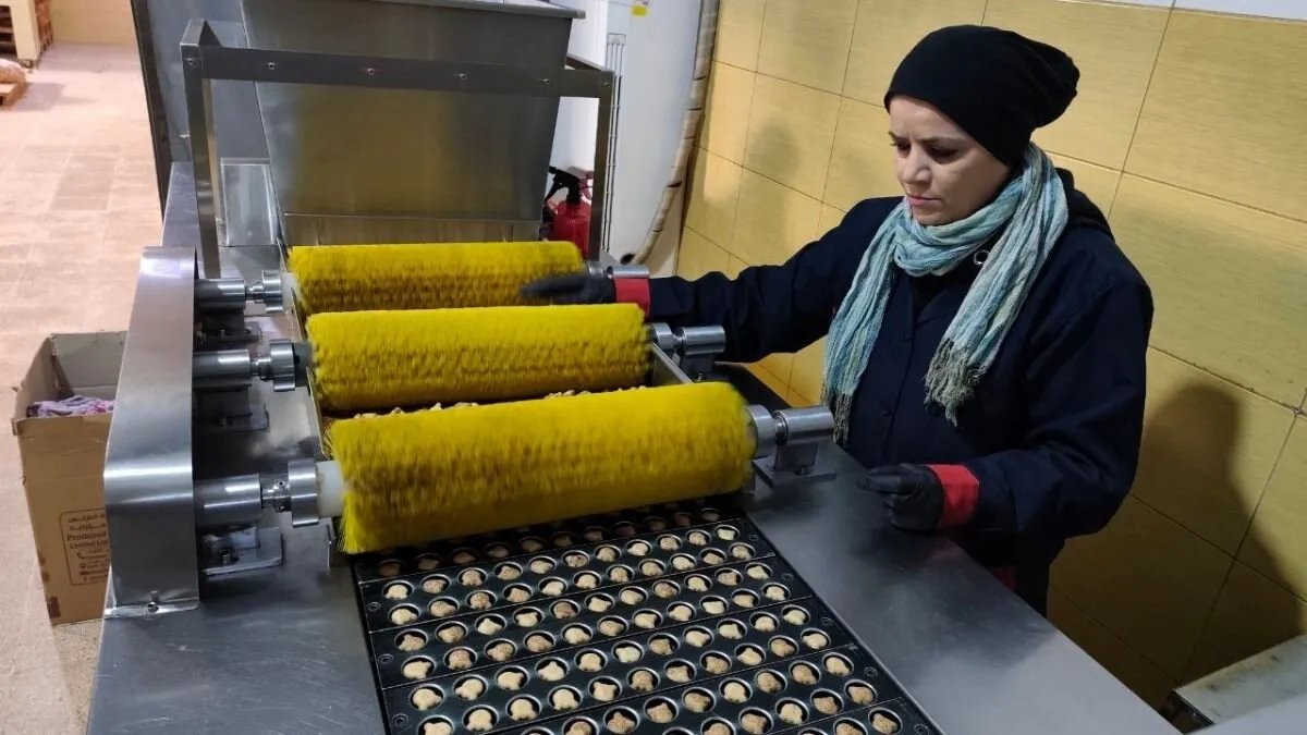 وزارة الاقتصاد تكشف عن أرقام الاستثمارات الصناعية في سوريا: توسع ملحوظ ونمو في التراخيص