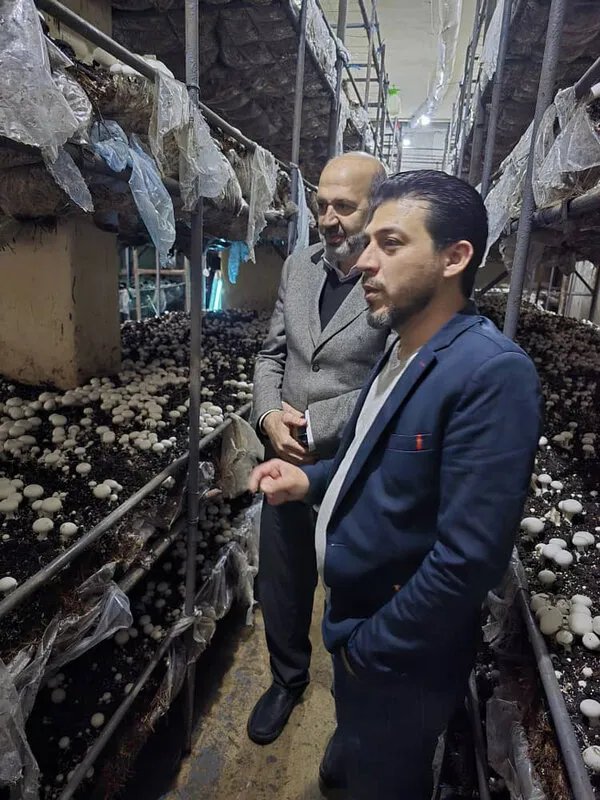 غرفة زراعة دمشق وريفها تتفقد منشأة لإنتاج الفطر الأبيض في داريا وتؤكد على أهمية دعم الزراعة المحلية