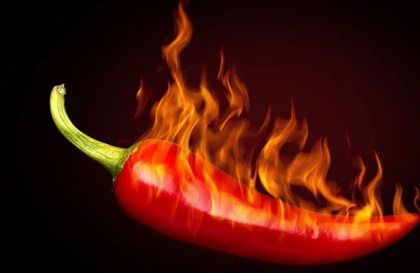ابتكار علمي: لسان اصطناعي صيني يقيس حرارة الفلفل الحار بدقة متناهية