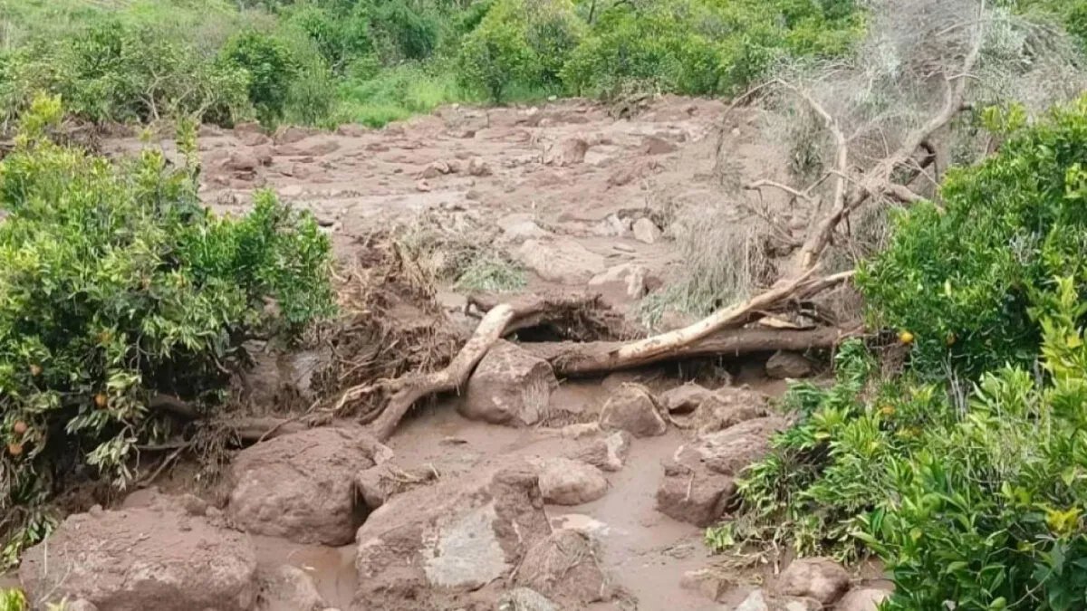 فاجعة في تاهيتي: مصرع ثمانية أشخاص بينهم طفلة في انهيار أرضي