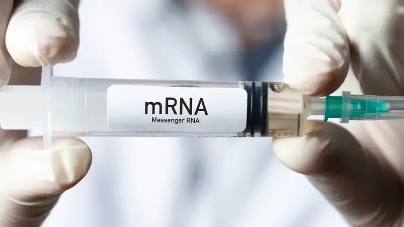 دراسة بريطانية: لقاحات mRNA تحدث ثورة في حماية العضلات من سموم الأفاعي