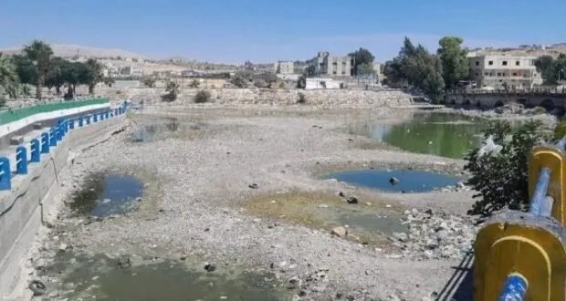 جفاف نهر العاصي يهدد الزراعة في حماة.. ومساعٍ حكومية لتخفيف الأضرار