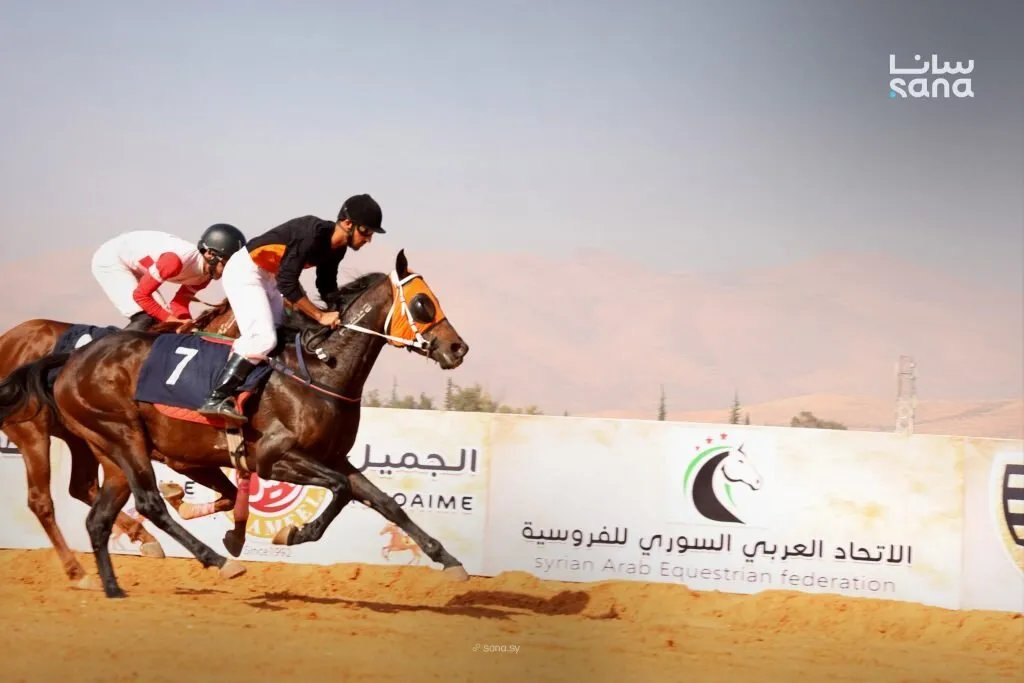 بمناسبة ذكرى التحرير: الجمعية السورية للخيول العربية الأصيلة تنظم السباق الدوري التاسع في دمشق