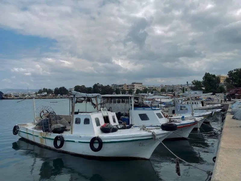 صرخات صيادي الساحل: قانون رقم 11 يهدد أرزاقنا ويتجاهل ظروفنا المعيشية الصعبة