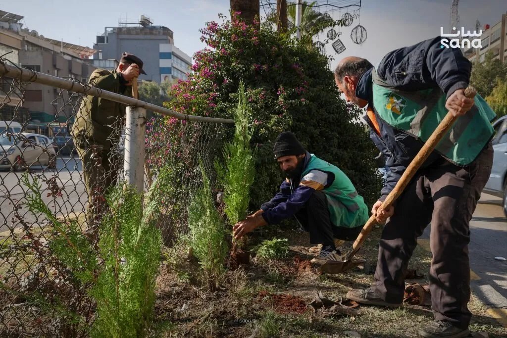 دمشق تطلق حملة واسعة لتشجير المزة بعشرة آلاف شجرة