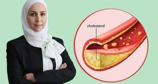 دليل شامل للكوليسترول: أنواعه، أسباب ارتفاعه، وأهم الأطعمة لخفض النوع الضار
