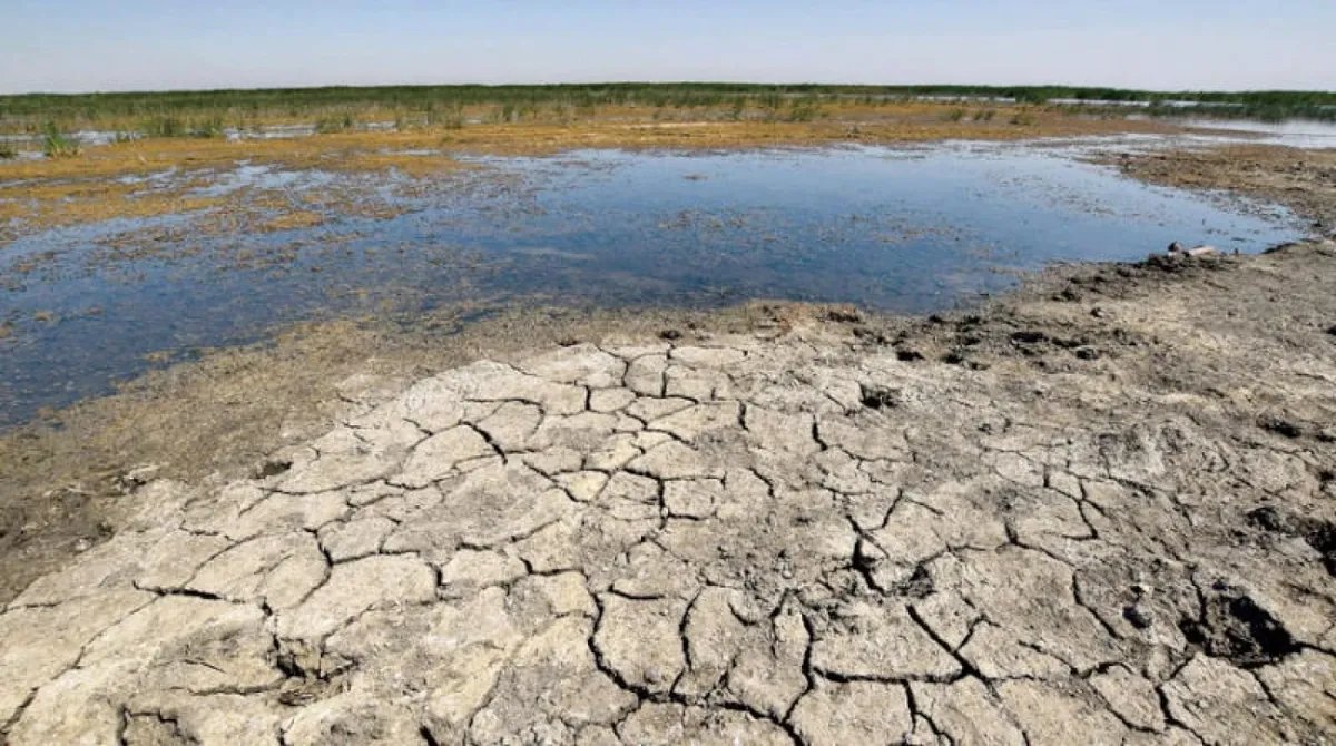 تحذيرات من أزمة غذاء وشيكة في سوريا بسبب الجفاف: دعوات إلى استراتيجية وطنية عاجلة