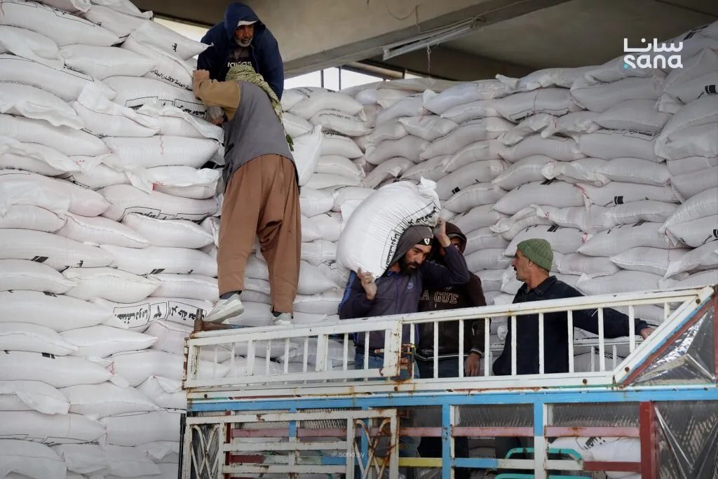 درعا: مؤسسة إكثار البذار تبدأ بتوزيع بذار القمح للموسم الزراعي 2025-2026