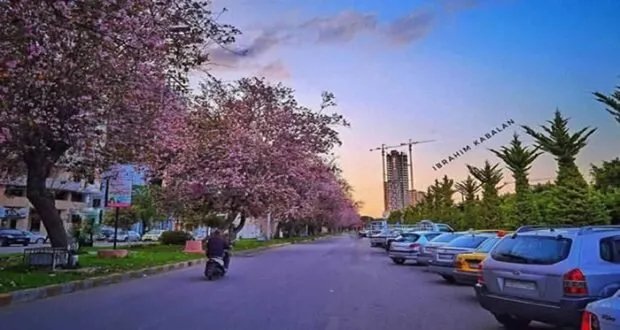 طرطوس في قلوب المغتربين: ذكريات لا تغيب وحنين دائم