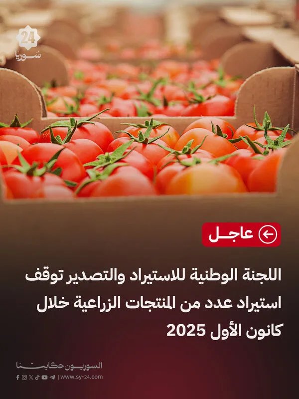 قرار مرتقب: اللجنة الوطنية للاستيراد والتصدير توقف استيراد منتجات زراعية أساسية في كانون الأول 2025