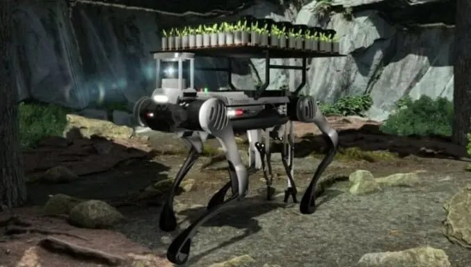 ابتكار برتغالي واعد: روبوت عنكبوتي لإعادة إحياء الغابات المحترقة