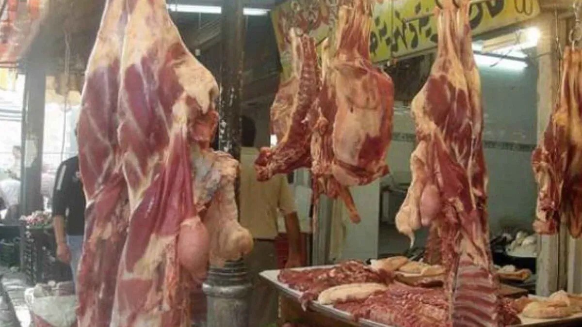 قرار حكومي يخفض رسوم استيراد المواشي لدعم المربين وتخفيض أسعار اللحوم