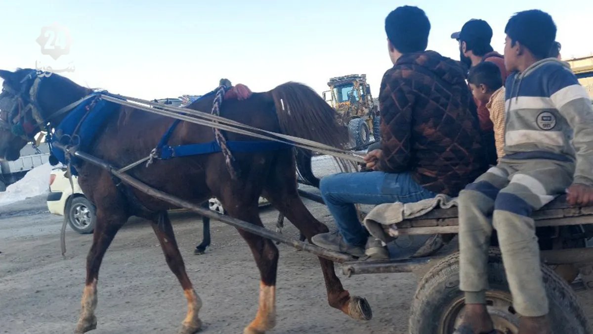 الطنبر في الرقة: وسيلة نقل تقليدية تتحدى تدهور الخدمات وتوفر سبل العيش