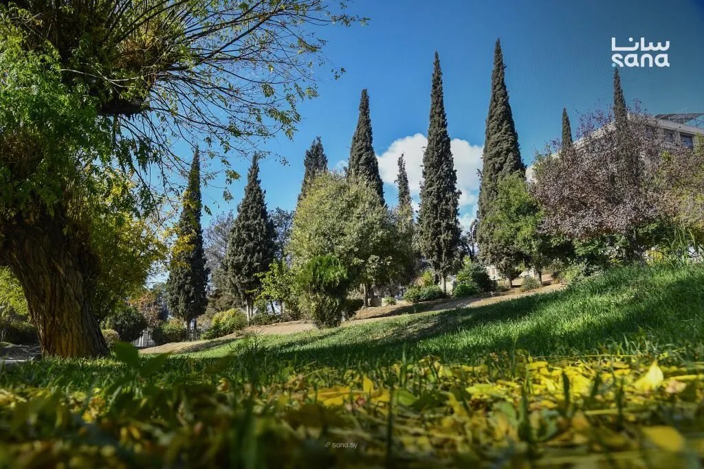 تقلبات جوية مرتقبة في سوريا: ارتفاع في درجات الحرارة يتبعه منخفض جوي