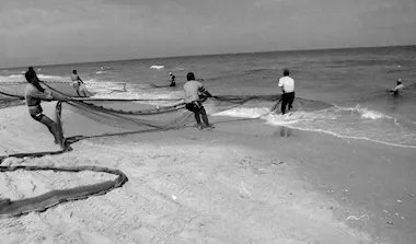 المتحف الفلسطيني يفوز بجائزة عالمية عن معرض "غزة الباقية" ودوره في حفظ الذاكرة ومقاومة المحو