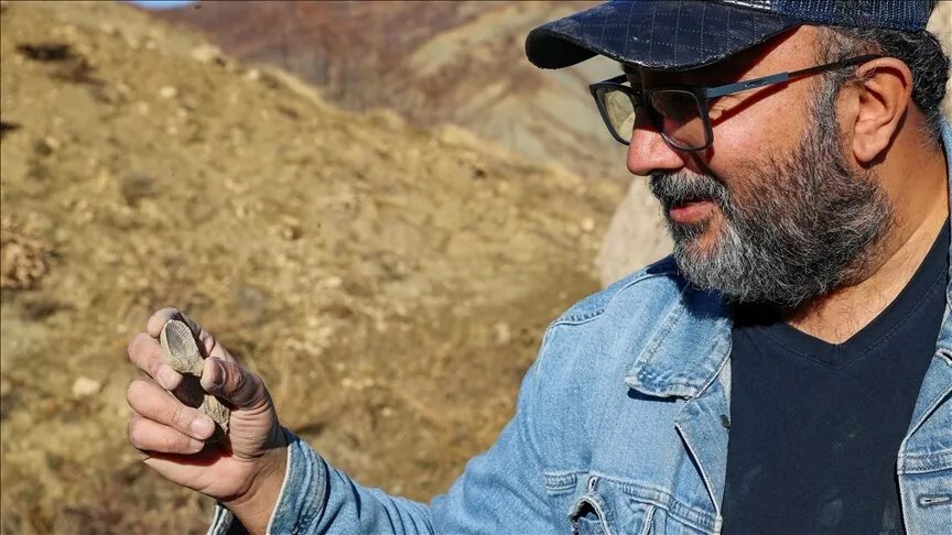 كنز دفين: اكتشاف مستحاثات بحرية عمرها 50 مليون عام في ولاية بينغول التركية