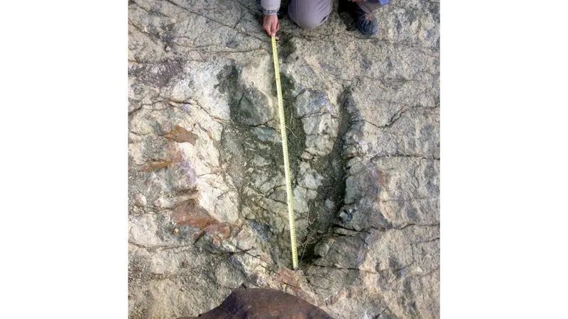 بوليفيا تكشف عن كنز دفين: أكبر تجمع لآثار أقدام الديناصورات على الإطلاق!